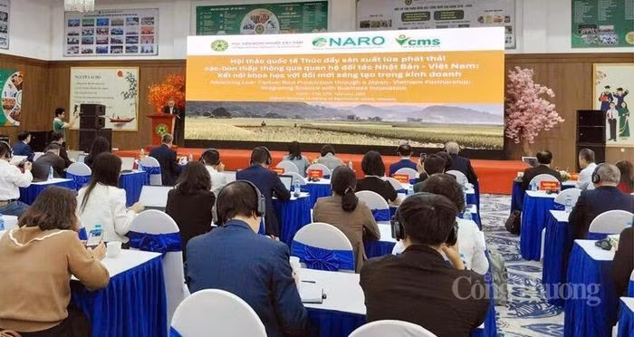 Japon-Vietnam : renforcement de la coopération pour développer la riziculture à faibles émissions
