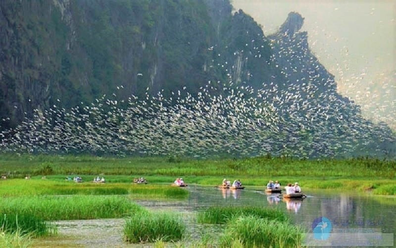 Le tourisme ornithologique est bien plus qu’une simple activité de loisirs : il permet de découvrir la faune locale tout en contribuant à la préservation de la nature.