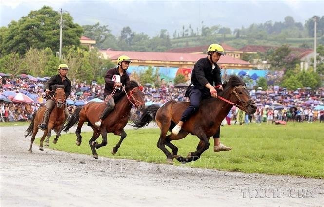 Course hippique lors de la finale du Tournoi élargi de courses de chevaux traditionnelles de Bắc Hà (Lào Cai). Photo : VNA.