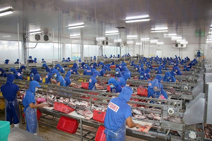 Les exportations de produits de la mer enregistrent une reprise vigoureuse, avec une hausse de plus de 10 %. Photo : Revue de la Pêche.