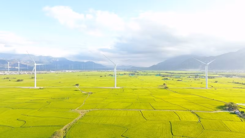 Un projet d'énergie éolienne à Khanh Hoa. Photo : VNA
