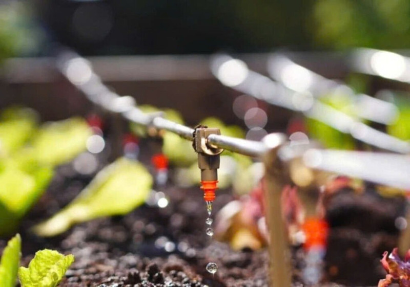 L’irrigation intelligente mise en avant face à la sécheresse croissante