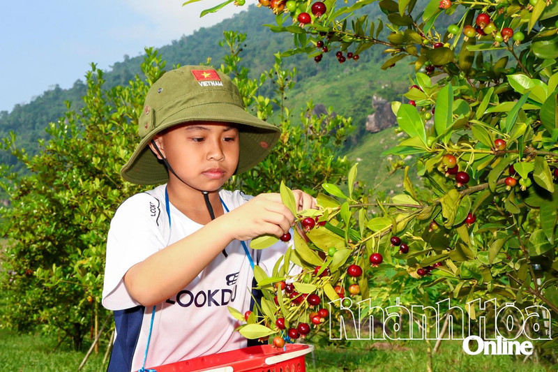 Le tourisme communautaire à Khanh Hoa exploite le potentiel des forêts et des vergers