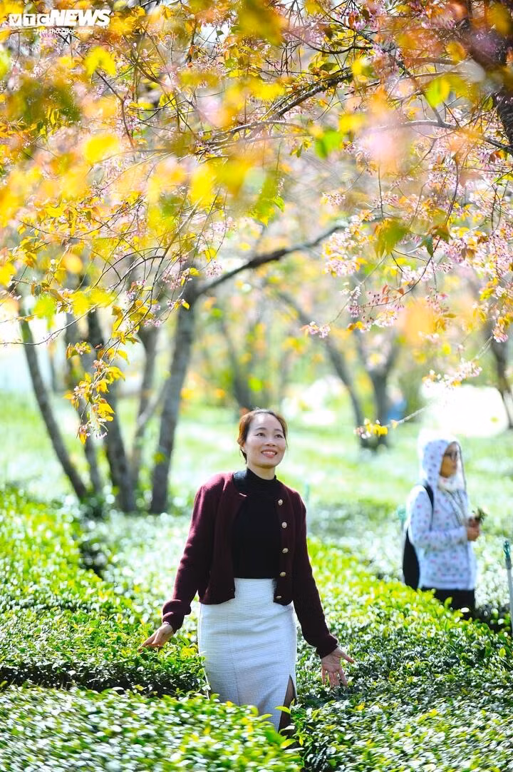 Les visiteurs viennent à Cau Dat non seulement pour profiter de l’air pur, mais aussi pour immortaliser leur passage à travers des images emblématiques. Ainsi, ce lieu s’impose progressivement comme une étape incontournable lors d’un séjour à Da Lat.