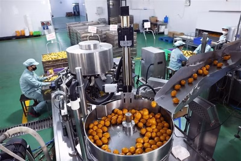 Le Vietnam devrait rester l’une des économies à la croissance la plus rapide de la région.
