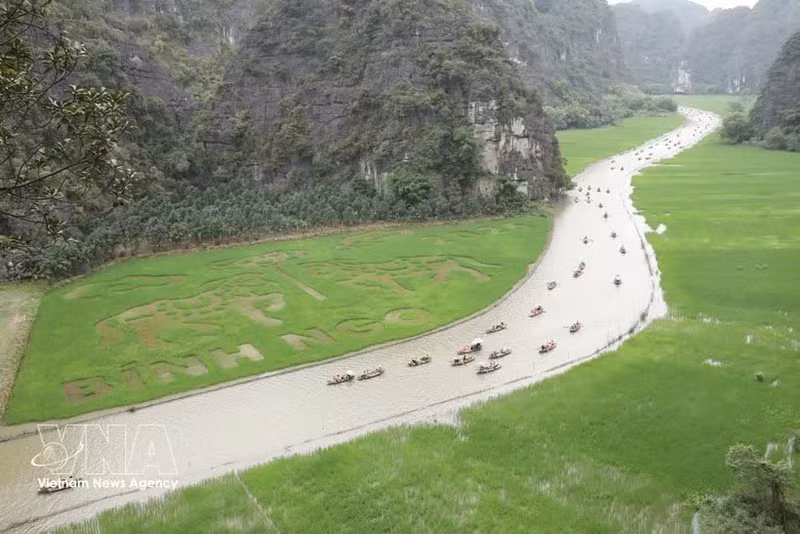 Tam Coc - Bich Dong est un site connu de Ninh Binh. Photo: VNA