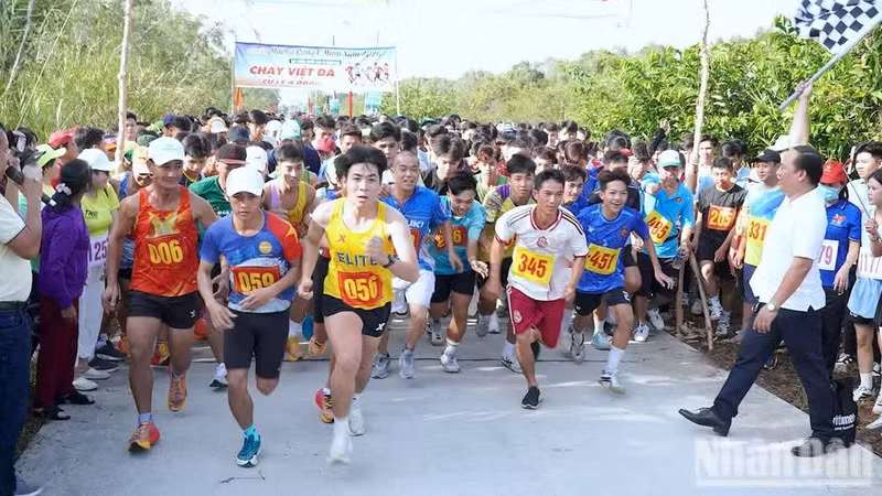 Parfum de la forêt de U Minh 2026