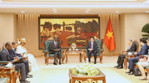 Le vice-Premier ministre et ministre de la Défense, Phan Van Giang (à droite), rencontre le ministre et secrétaire général du gouvernement mauritanien, Moctar Al Housseynou Lam. Photo : VGP.