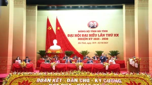 Le 20e Congrès du Comité du Parti de la province de Ha Tinh. Photo : VNA.