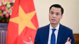 Le vice-ministre des Affaires étranger, Dang Hoang Giang. Photo : NDEL.