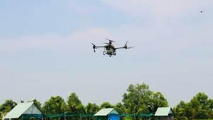 L'utilisation de drones pour pulvériser des pesticides dans le district de Thap Muoi, province de Dong Thap. Photo : NDEL