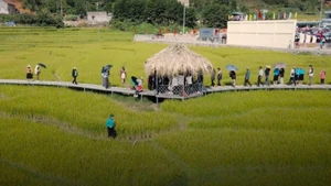 La Fête de la saison dorée de la région de Soong Co à Tien Yen. Photo : NDEL