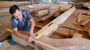 Un établissement de production de bois à Ha Tinh. Photo : vnexpress.net