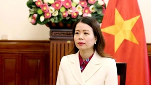 Nguyen Minh Hang,vice-ministre vietnamienne des Affaires étrangères. Photo : baoquocte.vn 