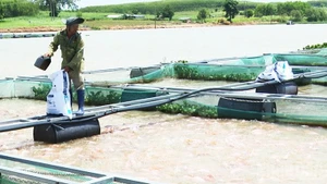 Le réservoir de Khe-Kanak est considéré comme très approprié au développement de l'aquaculture, notamment à l'élevage de poissons en cages à la surface de l'eau. Photo : NDEL.