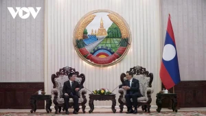 Entretien entre le vice-Premier ministre du Vietnam Ho Duc Phoc. Photo : VOV.