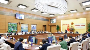 Lors de la conférence. Photo : VNA.