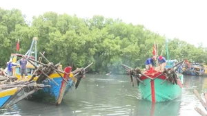 La province de Dông Thap démontre une forte détermination dans la lutte contre la pêche illicite, non déclarée et non réglementée (INN). Photo : VNA.