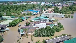 Les pertes économiques initiales provoquées par le typhon Kalmaegi (le 13e frappant le Vietnam en 2025) sont estimées à 7.050 milliards de dôngs, dont 2.050 milliards à Dak Lak et 5.000 milliards à Gia Lai. Photo : VNA