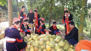 Conformément au décret n° 28, les ménages pauvres ou à faible revenu appartenant à des minorités ethniques ont droit à des prêts à taux préférentiels pour l'acquisition de terrains résidentiels et agricoles, etc. Photo : baodautu.vn