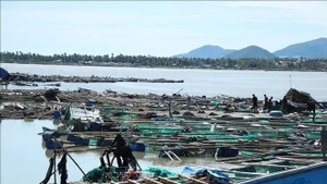 Le Premier ministre ordonne d’accélérer les efforts de redressement après le typhon n°13. Photo : VNA.