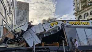 Après le typhon Kalmaegi, à Gia Lai, des arbres sont tombés partout dans les rues. Photo : VOV.