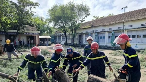 Un arbre tombé près du lycée Nguyen Hong Son, dans le quartier de Xuan Dai, province de Dak Lak, a été dégagé. Photo : VNA.