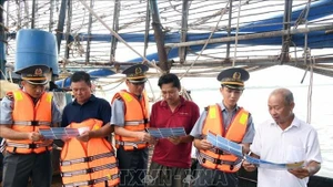 Campagne de sensibilisation contre la pêche illicite, non déclarée et non réglementée (INN) destinée aux armateurs et aux propriétaires de navires de pêche hauturière au port de pêche d'An Hoa, à Da Nang. Photo : VNA.