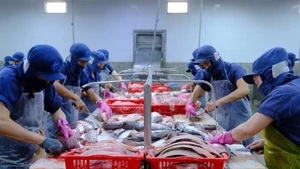 Dans les temps à venir, les entreprises exportatrices devront accroître leurs investissements dans la production et la transformation afin d'exploiter le marché mexicain et le vaste marché latino-américain. Photo : congthuong.vn