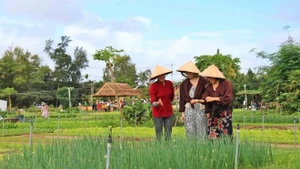 Le village de Trà Quê, l'un des meilleurs villages touristiques du monde. Photo : diachiamthuc.vn