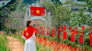 À Sa Pa, la saison des rizières en terrasses dorées coïncide avec les congés de la Fête nationale. Photo : NDEL.
