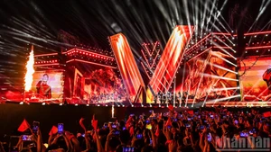 Des scènes époustouflantes du concert national « To Quoc Trong Tim »