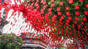 Une rue de Hanoï parée de rouge avec les drapeaux nationaux à l'approche de la Fête nationale. Photo : VNA.