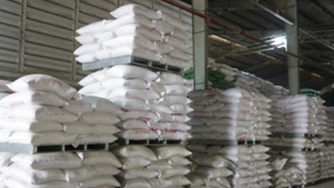 Les exportations vietnamiennes devraient atteindre 8 millions de tonnes cette année. Photo: VNA