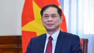 Le comité sera présidé par le vice-Premier ministre et ministre des Affaires étrangères, Bui Thanh Son. Photo : VGP.