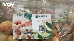 Des sacs de litchis vietnamiens frais sont vendus au supermarché Costco Lidcombe, à Sydney, en Australie. Photo : VOV.