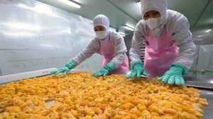 Dans le secteur agricole, les exportations ont généré environ 18,3 milliards de dollars au premier semestre, soit une progression de 16,8 % en glissement annuel. Photo : VNA.