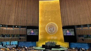 L’ambassadeur Dô Hung Viêt, représentant permanent du Vietnam auprès des Nations Unies, s’exprime lors de la Conférence internationale de haut niveau pour le règlement pacifique de la question de Palestine et la mise en œuvre de la solution à deux États. Photo : VNA