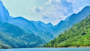 La rivière Nho Que est célèbre non seulement pour ses eaux vert émeraude, mais aussi pour le contraste saisissant qu'elle offre avec le paysage environnant. Elle témoigne avec force de la puissance créatrice de la nature : un cours d'eau paisible se fraie un chemin à travers les falaises abruptes et dangereuses des gorges de Tu San, profondes de plusieurs centaines de mètres. Photo : laodong.vn