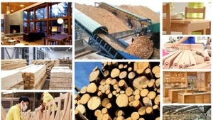 Le bois et les produits dérivés figurent parmi les principaux secteurs d'exportation, générant chacun plus de 10 milliards de dollars américains au cours des 11 derniers mois de l'année. Photo : VNA