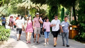 Touristes visitant Hon Thom, zone spéciale de Phu Quoc (An Giang). Photo: VNA