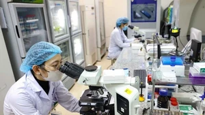 À l’horizon 2045, le corps intellectuel devra figurer parmi les meilleurs de la région et atteindre un niveau proche de celui des pays développés. Photo : VNA.