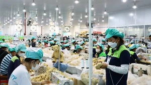 Le salaire minimum des travailleurs sous contrat augmentera également en vertu du décret n°293/2025/ND-CP. Photo d'illustration : VNA.