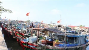 Bateaux de pêche mouillant dans un port de pêche de Hai Phong. Photo : VNA.