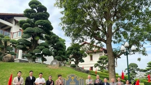 La cérémonie de reconnaissance de 12 arbres anciens comme arbres patrimoniaux du Viêt Nam s'est déroulée dans le quartier de Vu Ninh, province de Bac Ninh. Photo : VNA 