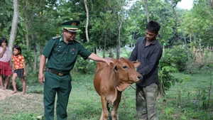 L'élevage de vaches permet à de nombreux ménages d'augmenter leurs revenus et de sortir de la pauvreté. Photo : NDEL.