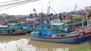 Ho Chi Minh-Ville intensifie la clôture des dossiers de violations liées à la pêche illicite (INN). Photo: VNA