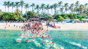 La course de natation en mer de Ly Son est une expérience passionnante pour les amateurs de natation vietnamiens et étrangers. Photo : NDEL.