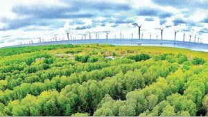 Le développement des énergies renouvelables est l'une des trois avancées stratégiques de Ca Mau à partir de 2026. Photo : NDEL.