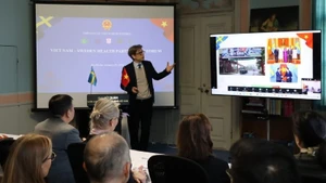 Lors du Forum des partenariats sanitaires Vietnam-Suède. Photo : NDEL
